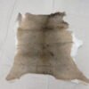 Whitetail Taxidermy Tanned Hide
