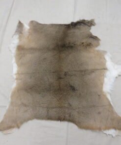 Whitetail Taxidermy Tanned Hide