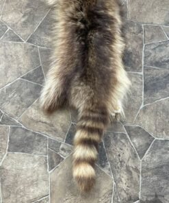 Raccoon Hide