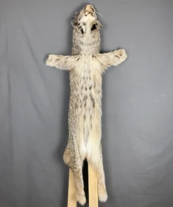 Lynx Hide