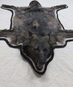Black Wolf Taxidermy Rug