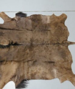 Blue Wildebeest Hide