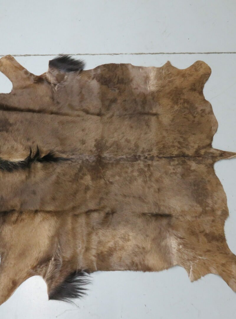 Blue Wildebeest Hide