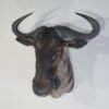 Blue Wildebeest Taxidermy Mount