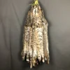 Bobcat Pelt
