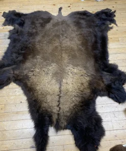 Buffalo Hide