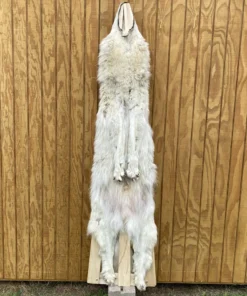 Timber Wolf Hide