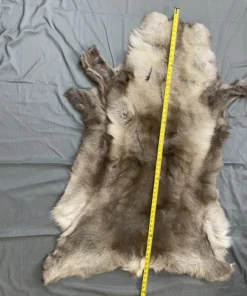 Reindeer Hide For Sale