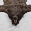 Brown Bear Taxidermy Rug