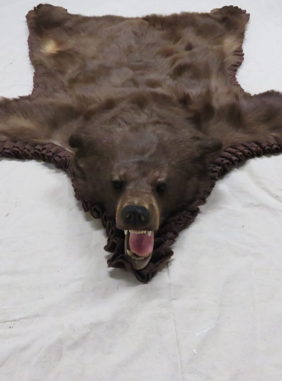 Brown Bear Taxidermy Rug