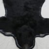 Bear Skin Rug