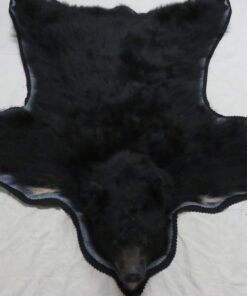 Bear Skin Rug