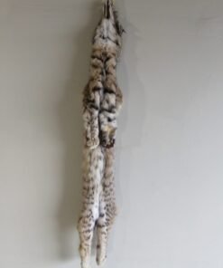 Bobcat Fur For Sale