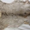 Elk Skin Taxidermy Hide