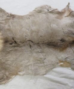 Elk Skin Taxidermy Hide