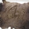 Buffalo Hide
