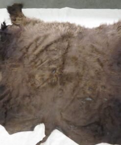 Buffalo Hide