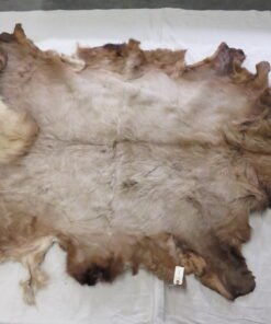 Elk Blanket Taxidermy Tanned Hide