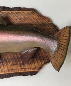 Steelhead Taxidermy Fish