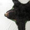 Alaska Black Bear Taxidermy Rug