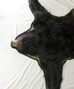Alaska Black Bear Taxidermy Rug
