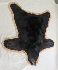 Alaskan Black Bear Taxidermy Rug
