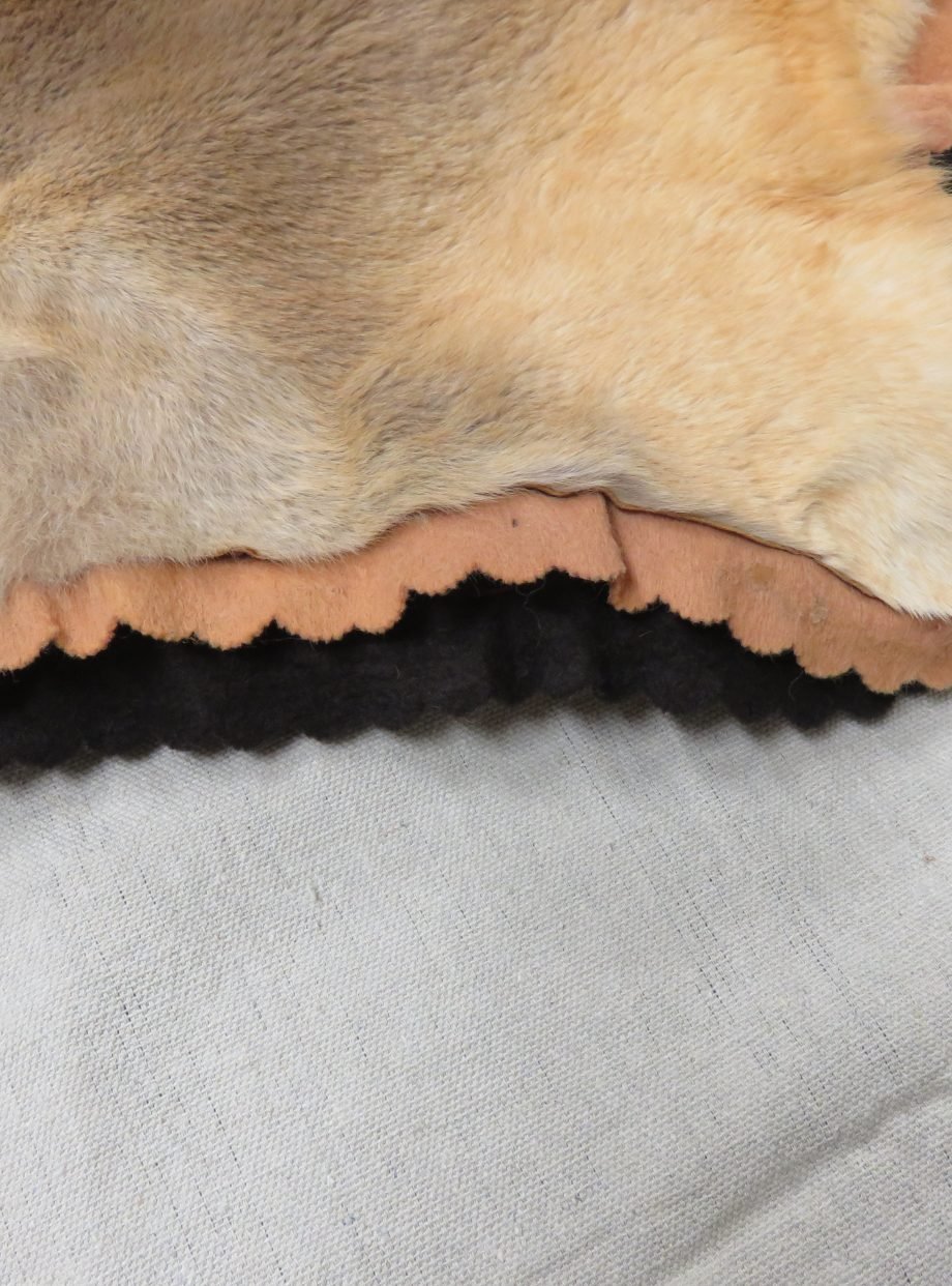 Australian Kangaroo Hide
