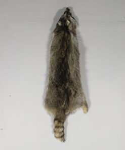 Raccoon Taxidermy Fur