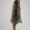 Raccoon Taxidermy Fur