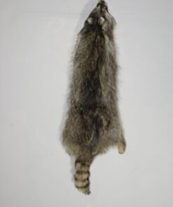 Raccoon Taxidermy Fur