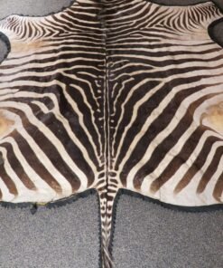 Zebra Rug For Sale