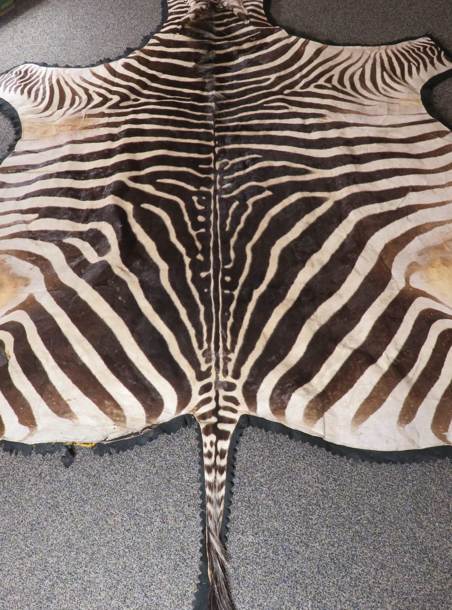 Zebra Rug For Sale