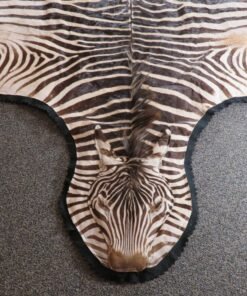 Zebra Rug For Sale