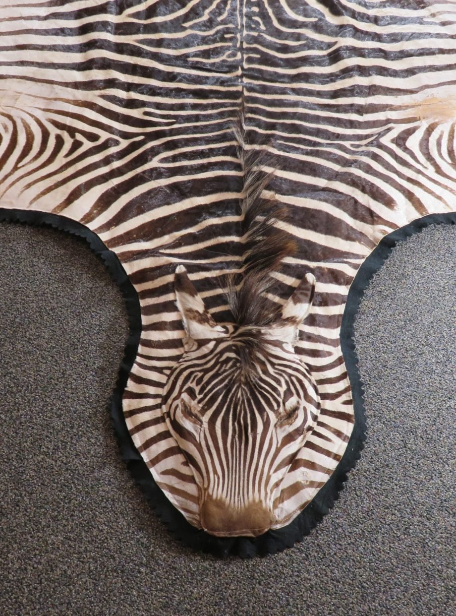 Zebra Rug For Sale