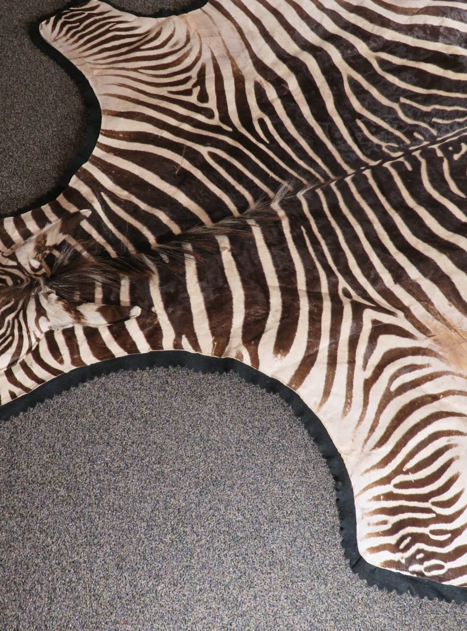 Zebra Rug For Sale