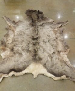 Elk Tanned Hide