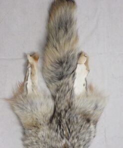 Coyote Skin Rug For Sale