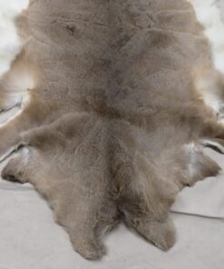 Whitetail Tanned Taxidermy Hide