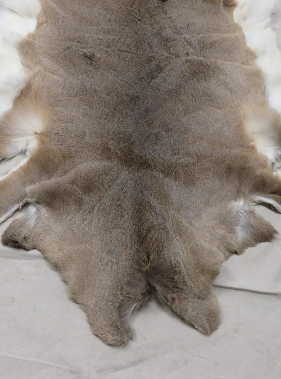 Whitetail Tanned Taxidermy Hide