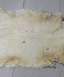 Whitetail Tanned Taxidermy Hide