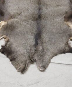 Mule Deer Taxidermy Skin