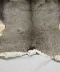 Mule Deer Taxidermy Skin