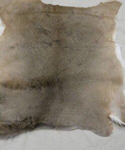 Whitetail Taxidermy Tanned Hide