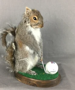 Squirrel Golfing Mount