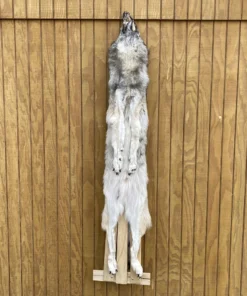 Timber Wolf Hide