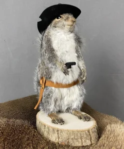 Cowboy Squirrel Taxidermy For Sale