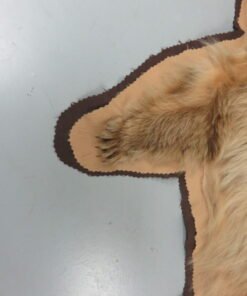 Bear Skin Taxidermy Rug