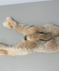Canadian Lynx Tube Skin