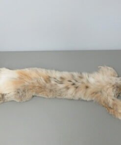 Canadian Lynx Tube Skin