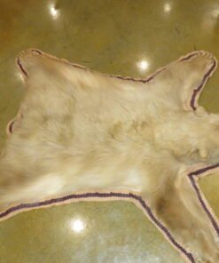 Light Brown Bear Skin Rug